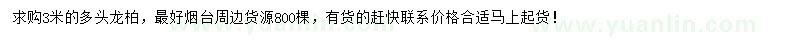 求購3米多頭龍柏