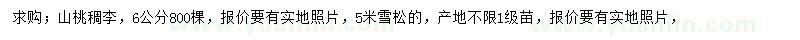 求購6公分山桃稠李、5米雪松