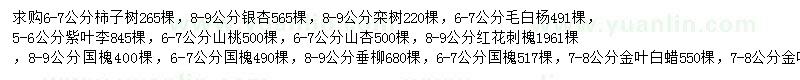 求購(gòu)柿子樹(shù)、銀杏、欒樹(shù)等