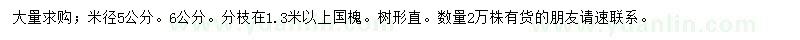 求購米徑5、6公分國槐