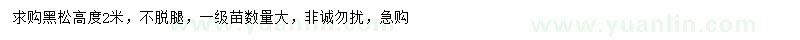 求購高2米黑松