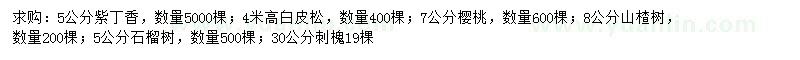 求購紫丁香、白皮松、櫻桃等