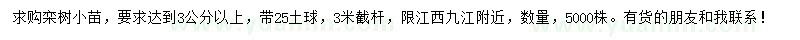 求購3公分以上欒樹