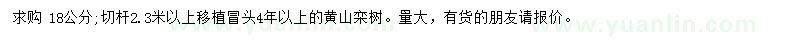 求購18公分黃山欒樹