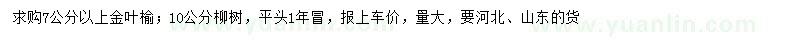 求購7公分以上金葉榆、10公分柳樹