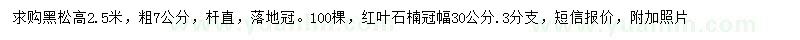 求購高2.5米黑松、冠幅30公分紅葉石楠