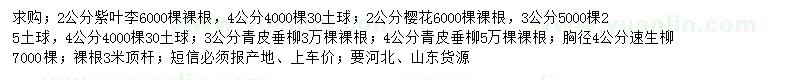 求購紫葉李、櫻花、青皮垂柳等