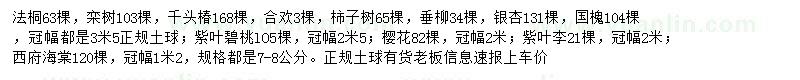 求購法桐、欒樹、千頭椿等