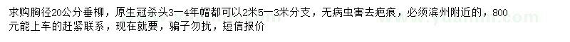 求購(gòu)胸徑20公分垂柳