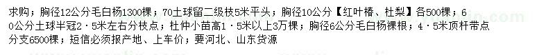 求購(gòu)毛白楊、紅葉椿、杜梨等