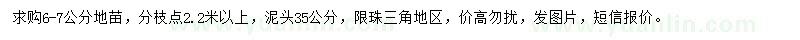 求購6-7公分秋楓