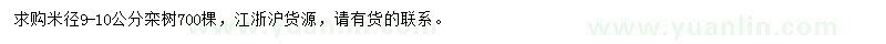 求購(gòu)米徑9-10公分欒樹(shù)