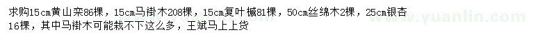 求購黃山欒、馬褂木、復(fù)葉槭等