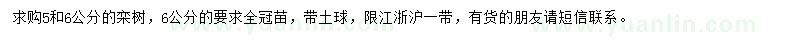求購5、6公分欒樹