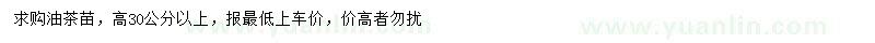 求購(gòu)高30公分以上油茶苗