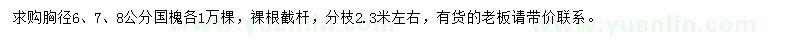 求購(gòu)胸徑6、7、8公分國(guó)槐