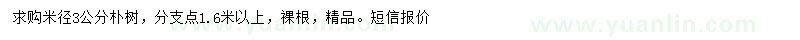 求購(gòu)米徑3公分樸樹(shù)