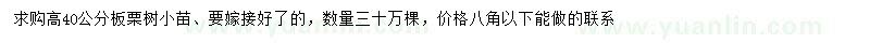 求購高40公分板栗樹小苗