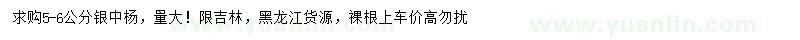 求購5-6公分銀中楊