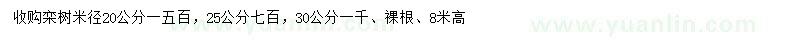 求購(gòu)米徑20、25、30公分欒樹(shù)