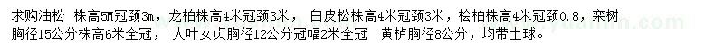 求購油松、龍柏、白皮松等