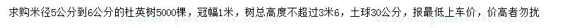 求購米徑5-6公分杜英