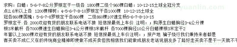 求購白蠟、柳樹、國槐等