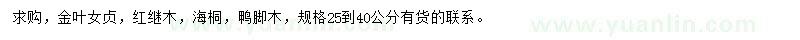 求購金葉女貞、紅繼木、海桐等