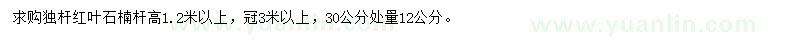 求購高1.2米以上紅葉石楠