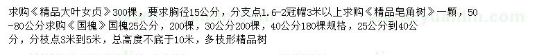 求購(gòu)大葉女貞、國(guó)槐、皂角樹