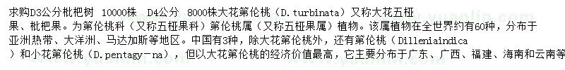 求購(gòu)3公分枇杷樹(shù)
