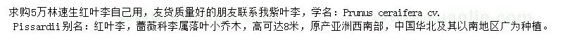 求購(gòu)紅葉李