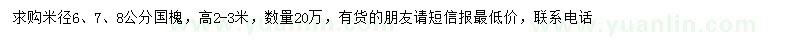 求購(gòu)米徑6、7、8公分國(guó)槐
