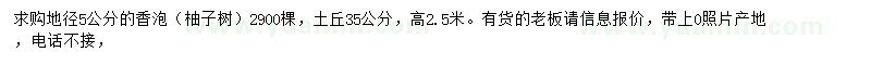 求購地徑5公分香泡