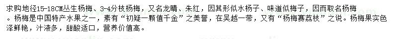求購地徑15-18公分叢生楊梅、3-4分枝楊梅