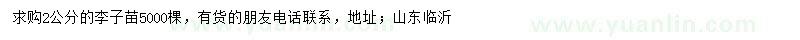 求購(gòu)2公分李子苗