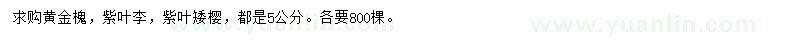 求購黃金槐、紫葉李、紫葉矮櫻