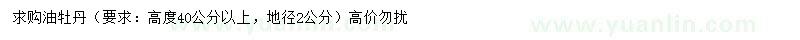 求購高40公分以上油牡丹
