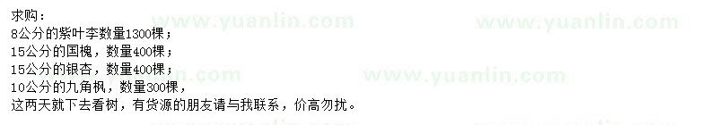 求購紫葉李、國槐、銀杏等