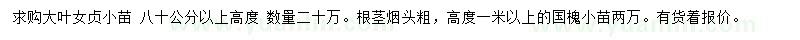 求購高80公分以上大葉女貞