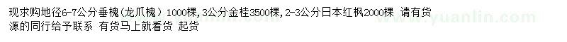 求購(gòu)龍爪槐、金桂、日本紅楓
