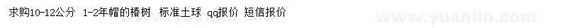 求購10-12公分椿樹