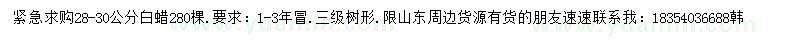 求購(gòu)28-30公分白蠟