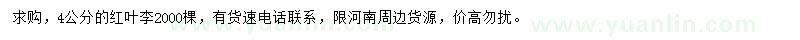 求購(gòu)4公分紅葉李