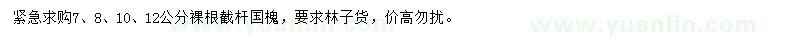求購(gòu)7、8、10、12公分國(guó)槐