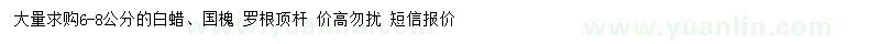 求購6-8公分白蠟、國槐