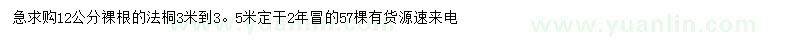 求購12公分法桐