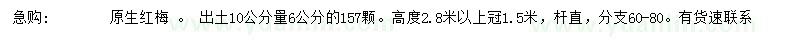 求購出土10公分量6公分原生紅梅