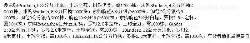 求購紅葉李、國槐、銀杏等