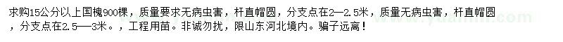 求購15公分以上國槐